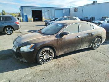  Salvage Nissan Maxima