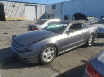  Salvage Ford Mustang