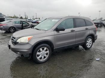  Salvage Honda Crv