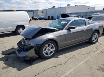  Salvage Ford Mustang