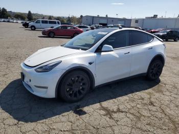  Salvage Tesla Model Y