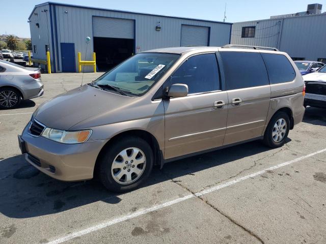  Salvage Honda Odyssey