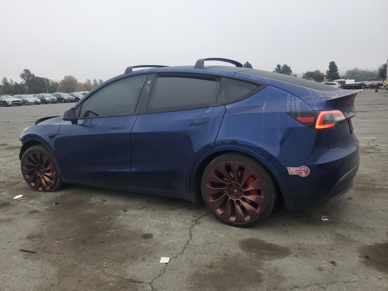 Tesla Model Y Image 2