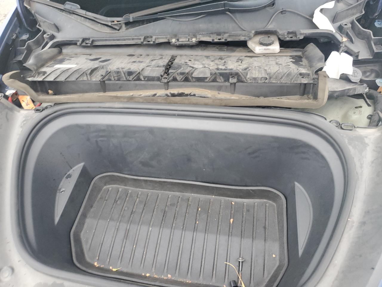 Tesla Model Y Image 11