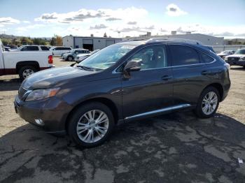 Salvage Lexus RX