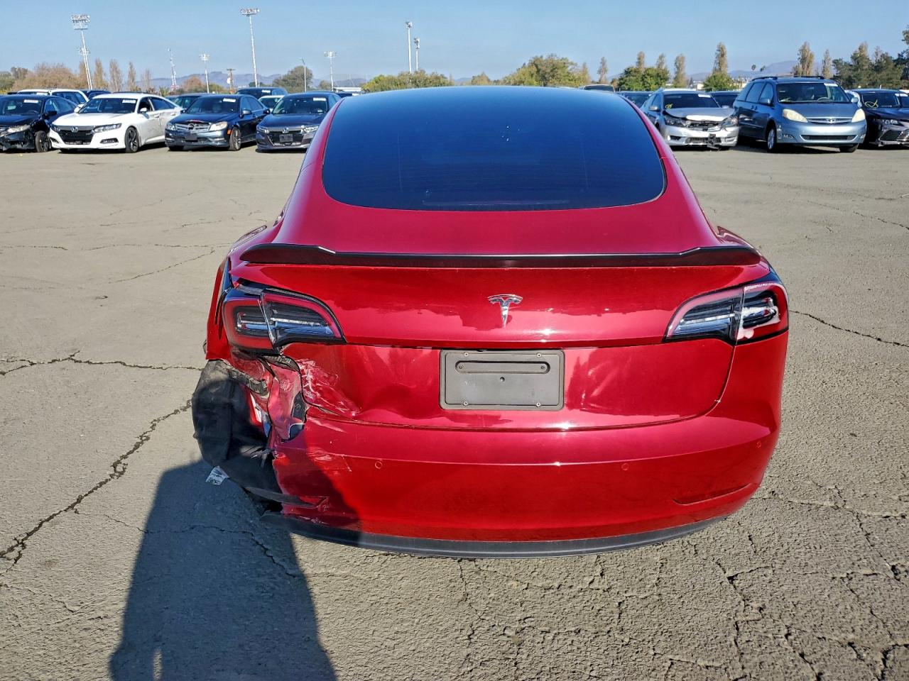 Tesla Model 3 Image 8